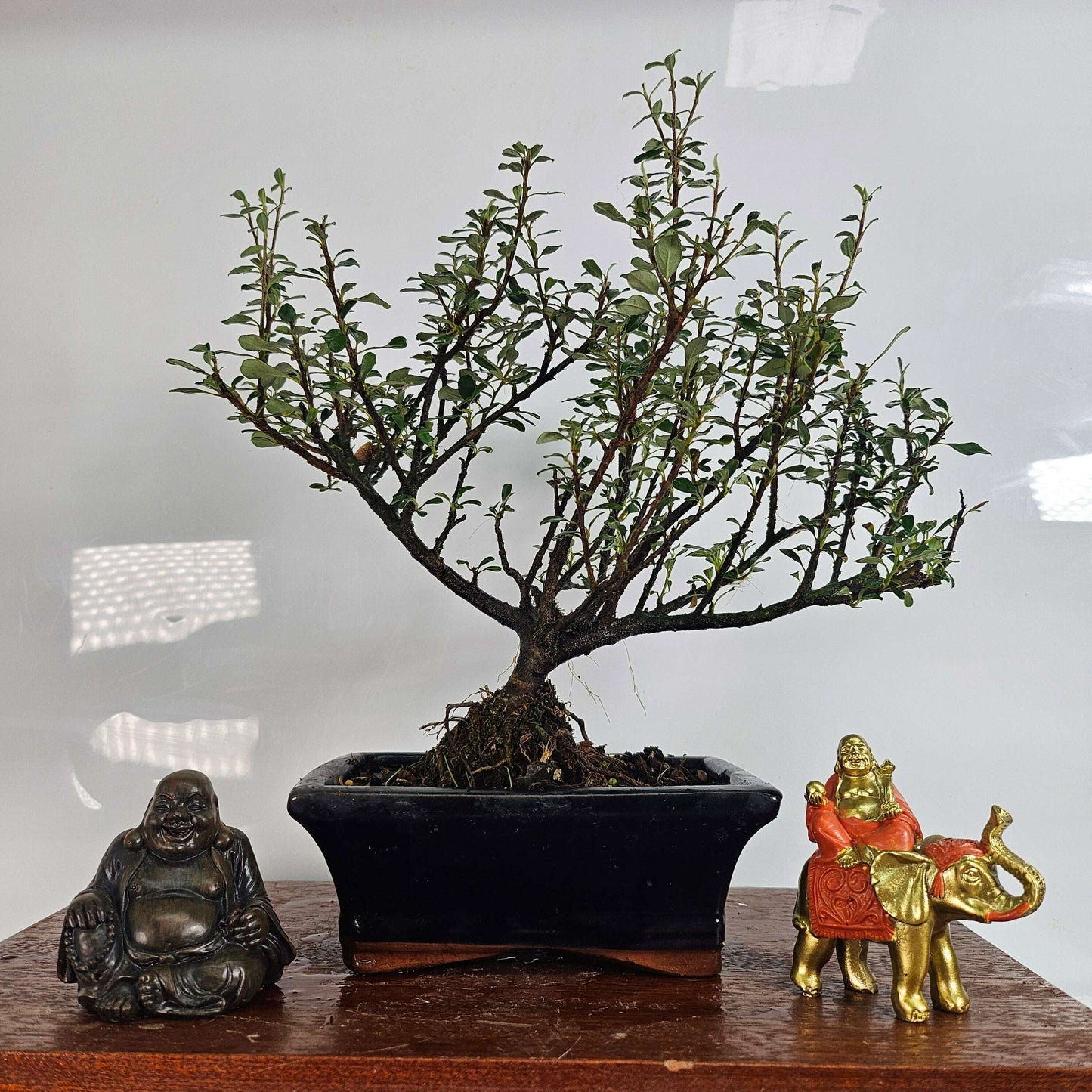 20250911_144540_7a4f96de-1da1-489d-9268-37ba9a1e5c9e