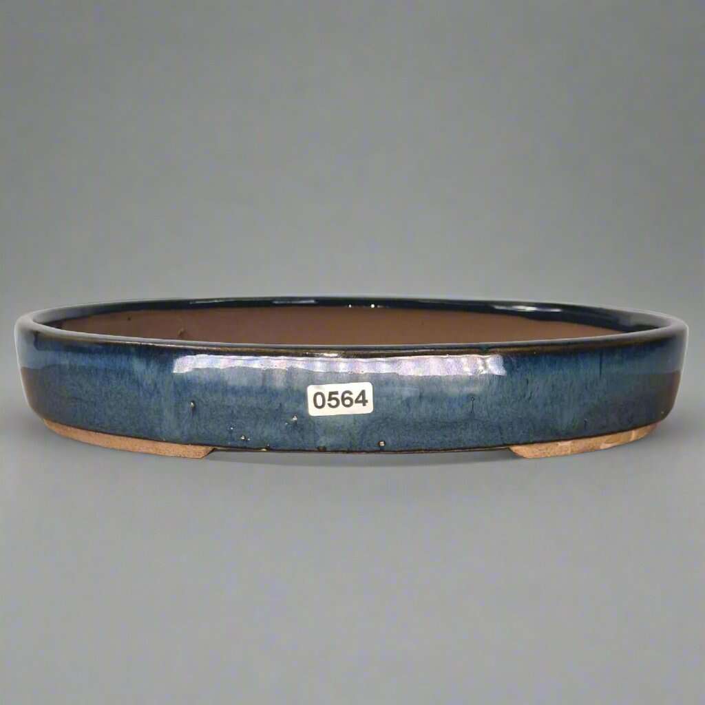 26cm_Glazed_Bonsai_Pot_Oval_26cm_x_19cm_x_4cm_Blue_-_Yorkshire_Bonsai-16110