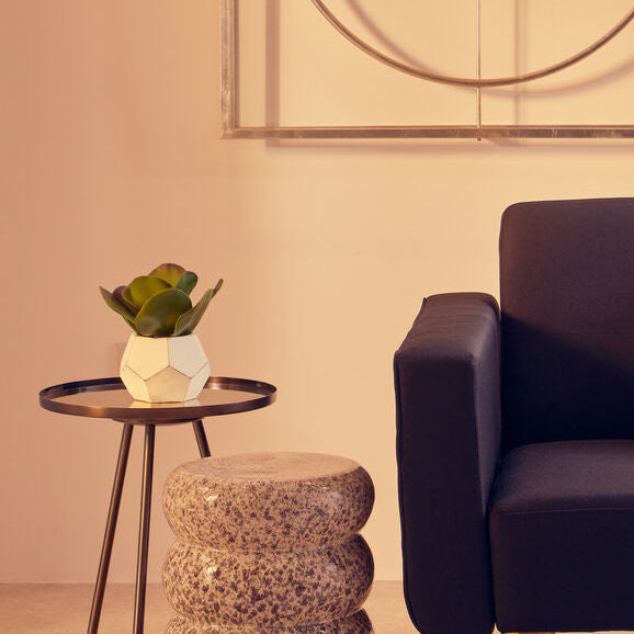 White Cement Pot Succulent | Fiori