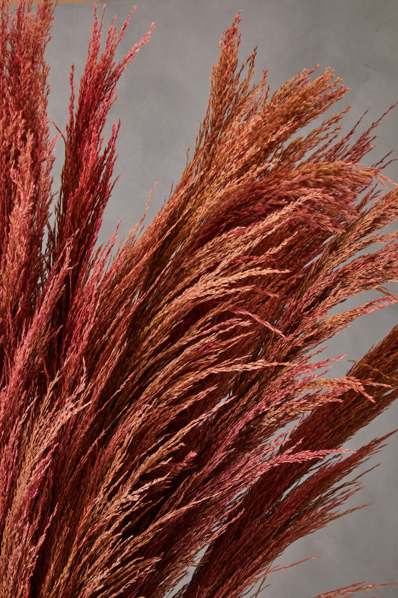 Tall Pink Pampas Grass Stem | Fiori Artificial flowers