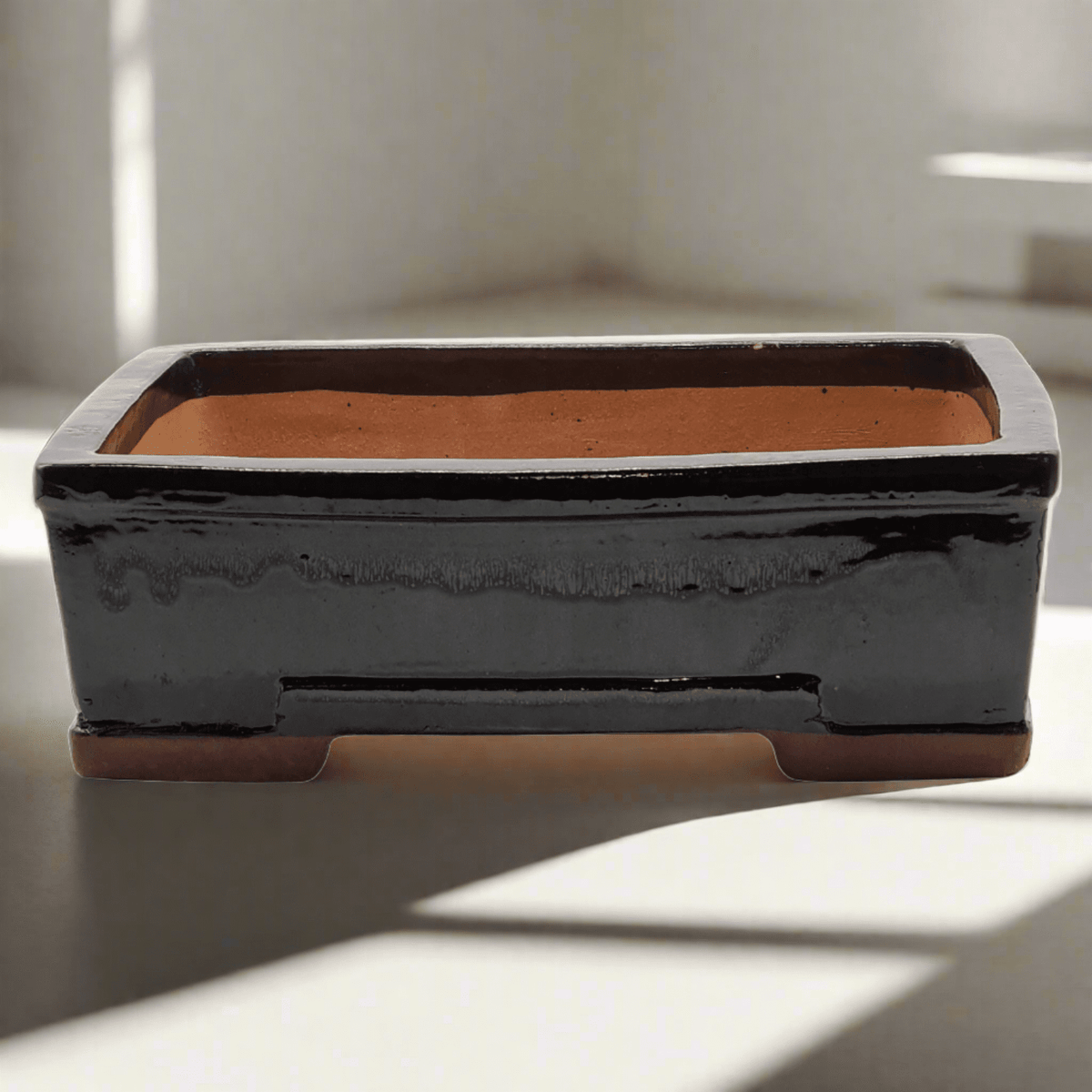 31cm_Glazed_Bonsai_Pot_Rectangle_31cm_x_25cm_x_10cm_Black_-_Yorkshire_Bonsai-21454
