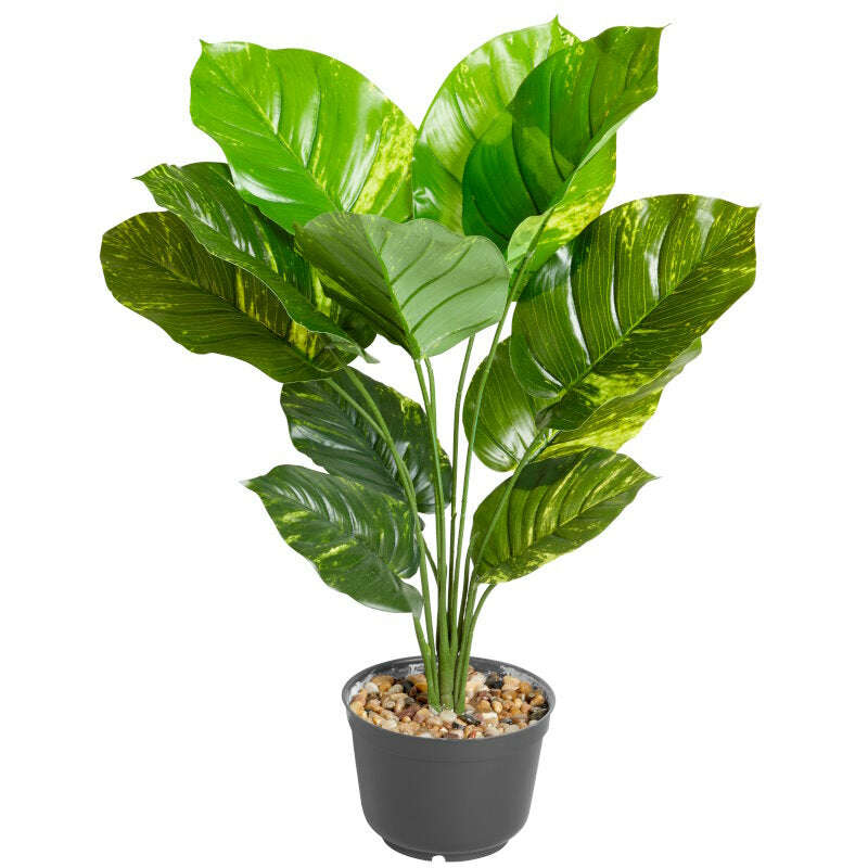 5607002-LeopardLily-Cutout_Grey