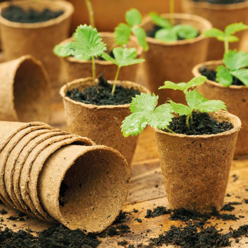 Gro-Sure Fibre Pots for Plants Round 6cm 96pk
