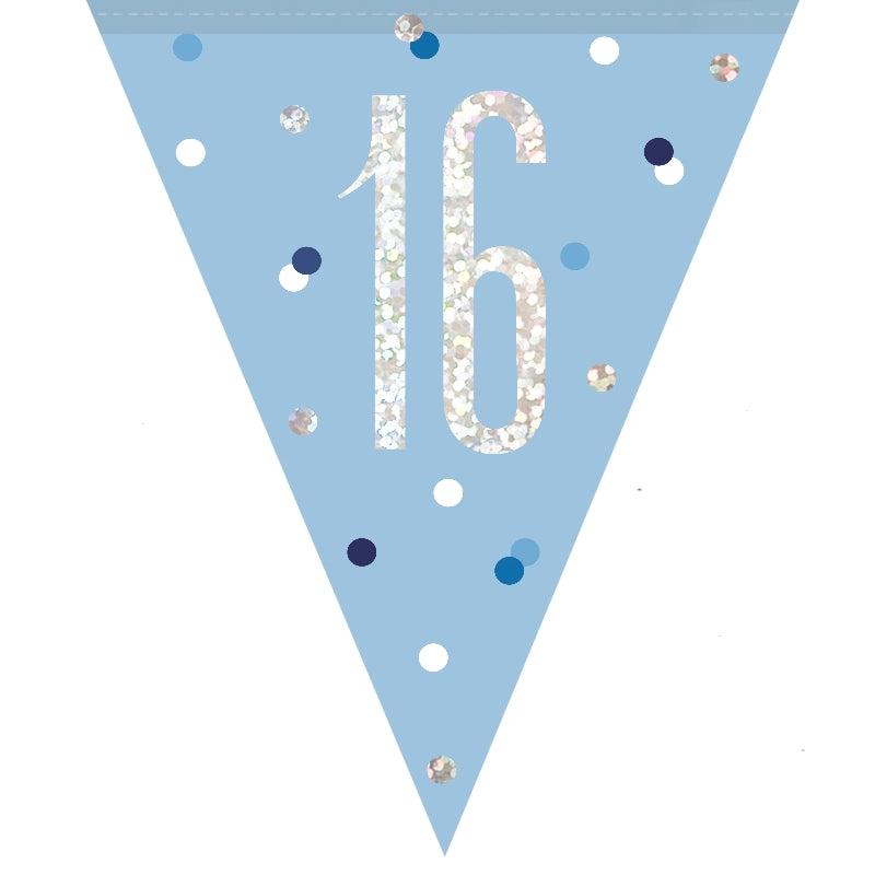 Blue and Silver Birthday Bunting & Age Milestone Bunting Banner - 16th Birthday | Small Indoor Plants