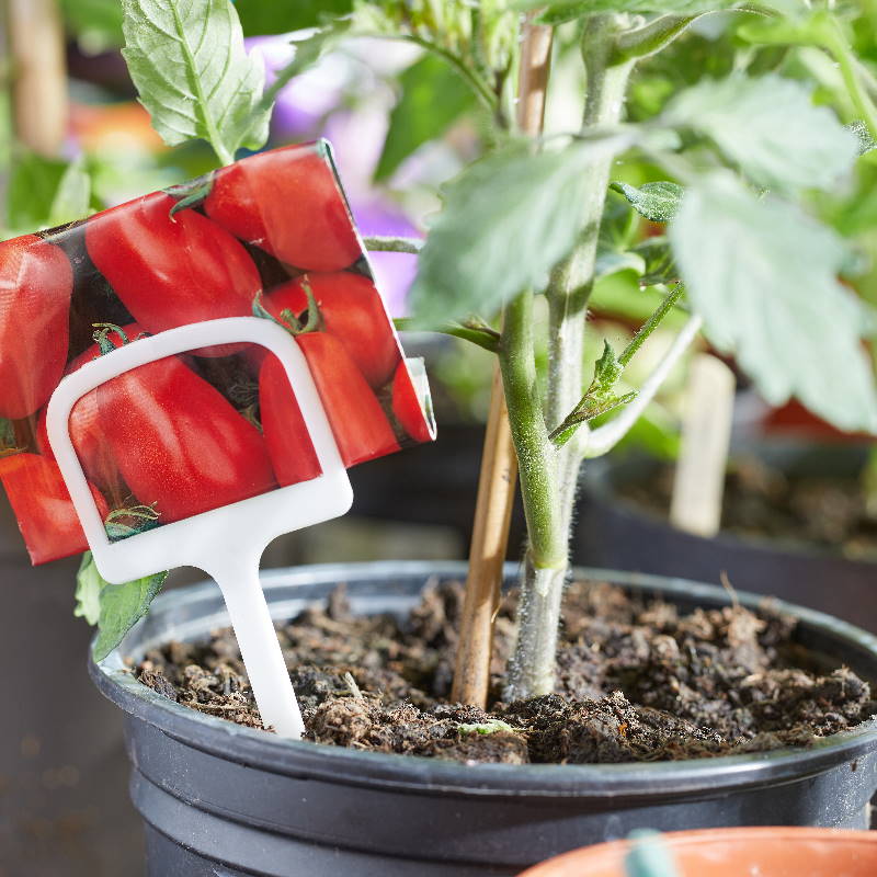 Plant T Labels 12.5cm 10 Pack