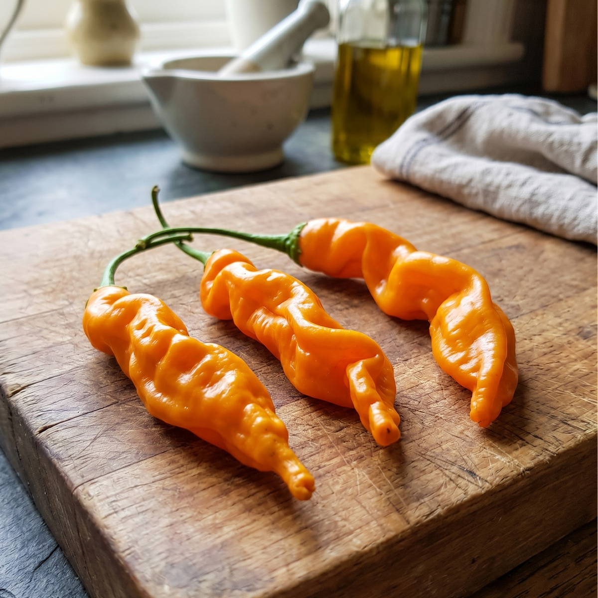 Aji Colorado Orange Chilli
