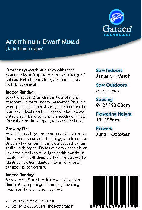 AntirrhinumDwarfMixedBACK