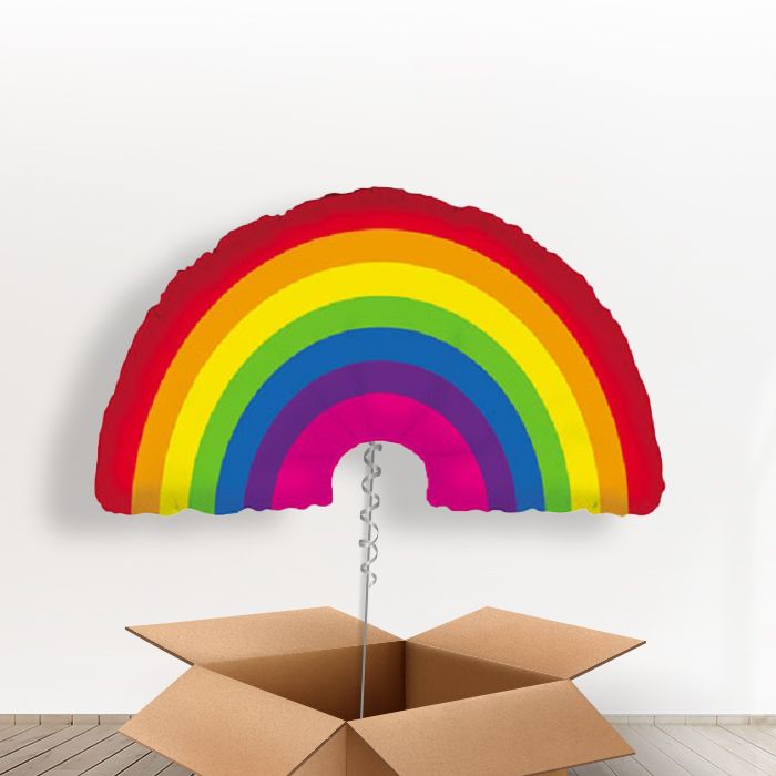 Rainbow Shaped Giant Balloon in a Box Gift - Giant Balloon | Small Indoor Plants
