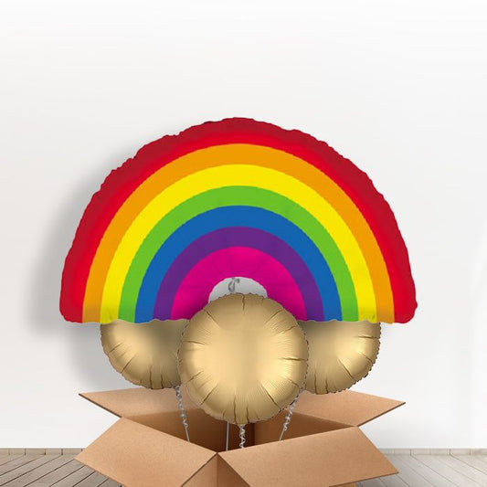 Rainbow Shaped Giant Balloon in a Box Gift - With 3 Themed Balloons | Small Indoor Plants