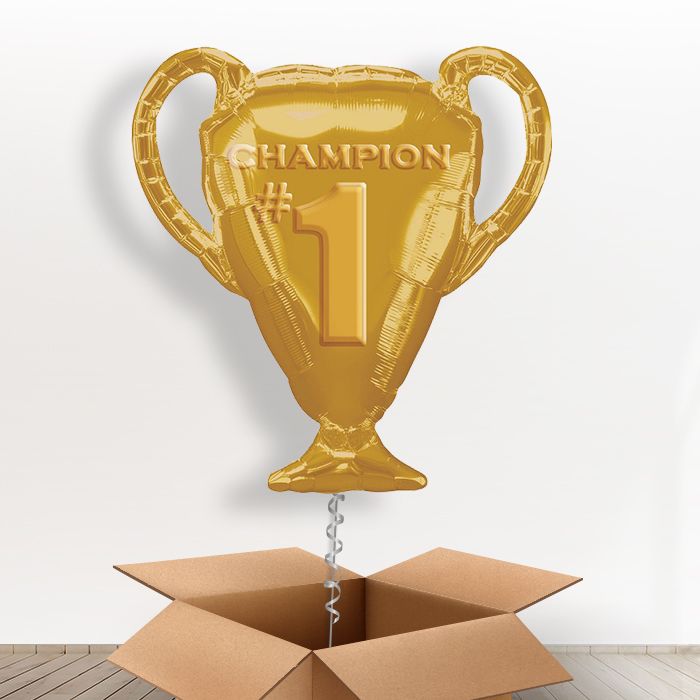 Giant Trophy Balloon in a Box - Giant Balloon | Small Indoor Plants