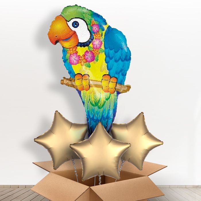 Tropical Parrot Shaped Giant Balloon in a Box Gift - With 3 Themed Balloons | Small Indoor Plants