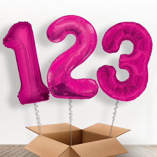 Pink Helium Filled Number Balloons 0-9 - Number 9 | Small Indoor Plants