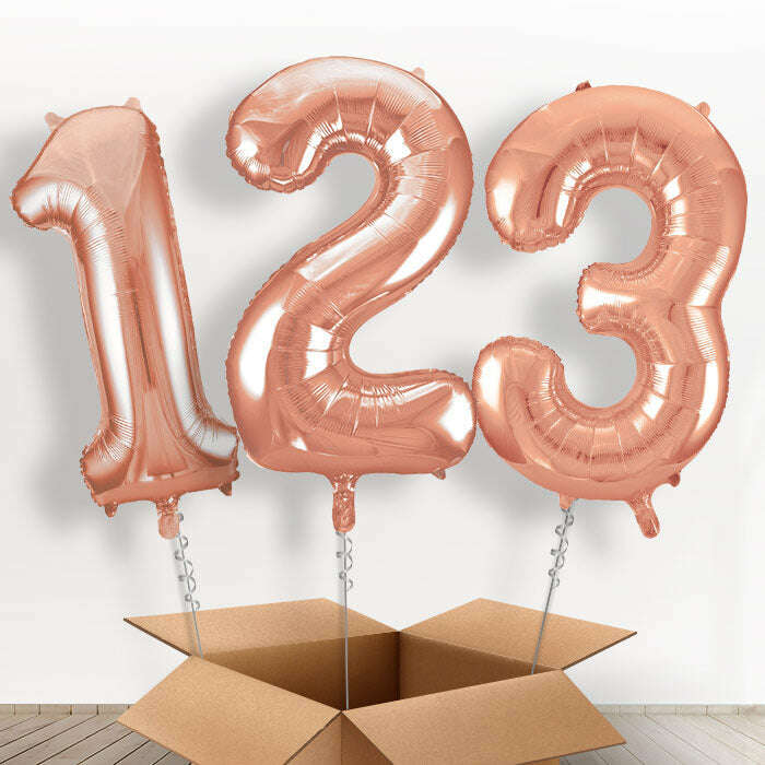BOX-WEB55870-55879_e42006f7-c651-4738-8c16-71b1aa3d51d4