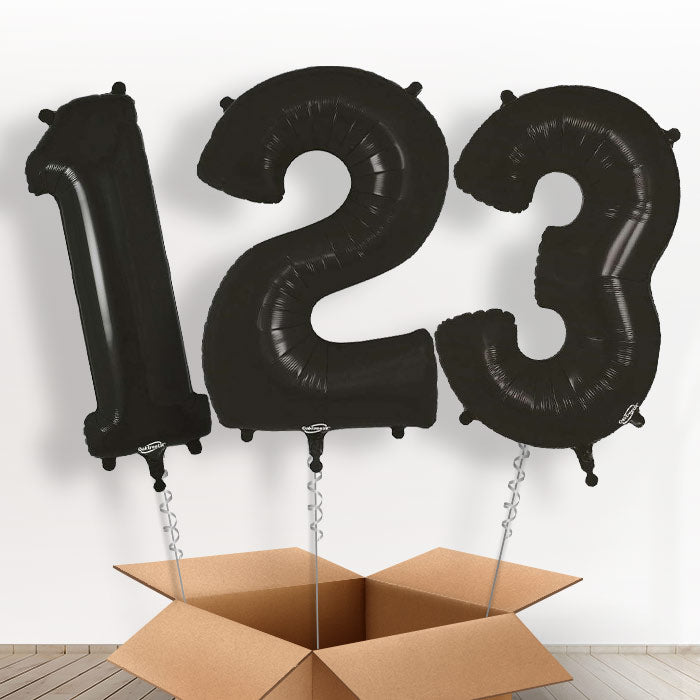 Black Helium Filled Number Balloons 0-9 - Number 9 | Small Indoor Plants