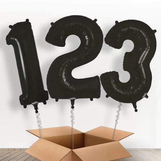 Black Helium Filled Number Balloons 0-9 - Number 9 | Small Indoor Plants
