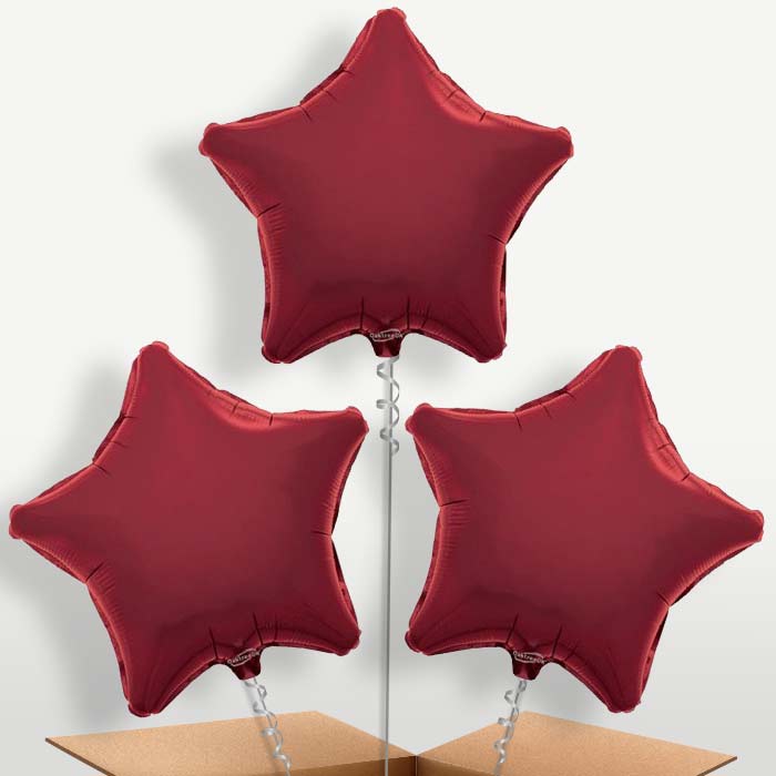Burgundy Star Bunch of Balloons inflated with Helium | Small Indoor Plants