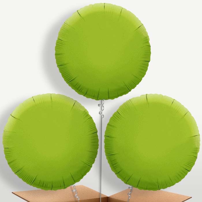 Lime Green Circle Bunch of Balloons inflated with Helium | Small Indoor Plants