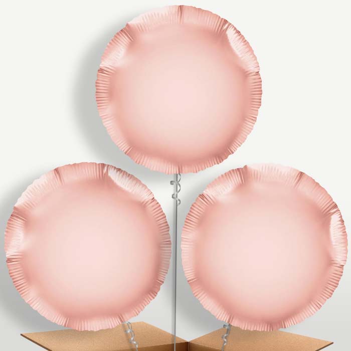 Rose Gold Circle Bunch of Balloons inflated with Helium | Small Indoor Plants