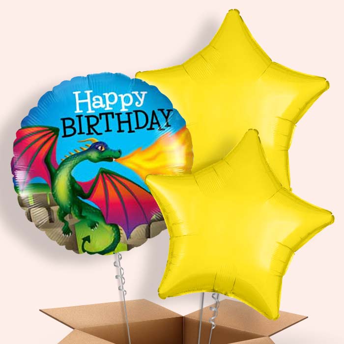 Dragon Happy Birthday Balloon in a Box Gift - 3 Balloon | Small Indoor Plants