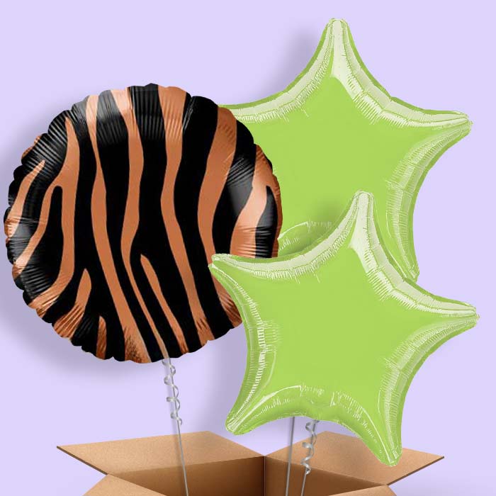 Tiger | Stripes Print Balloon in a Box - 3 Balloon | Small Indoor Plants