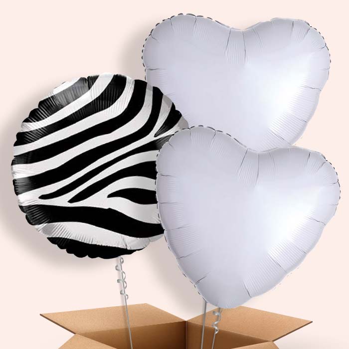 Zebra Print Balloon in a Box - 3 Balloon | Small Indoor Plants