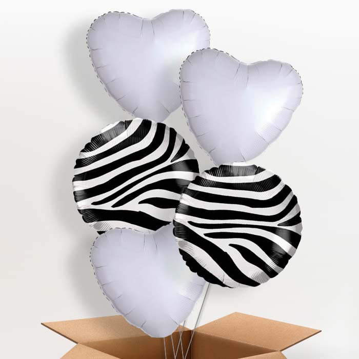 Zebra Print Balloon in a Box - 5 Balloon | Small Indoor Plants