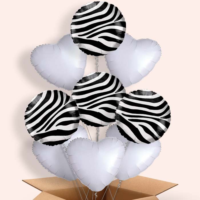 Zebra Print Balloon in a Box - 9 Balloon | Small Indoor Plants