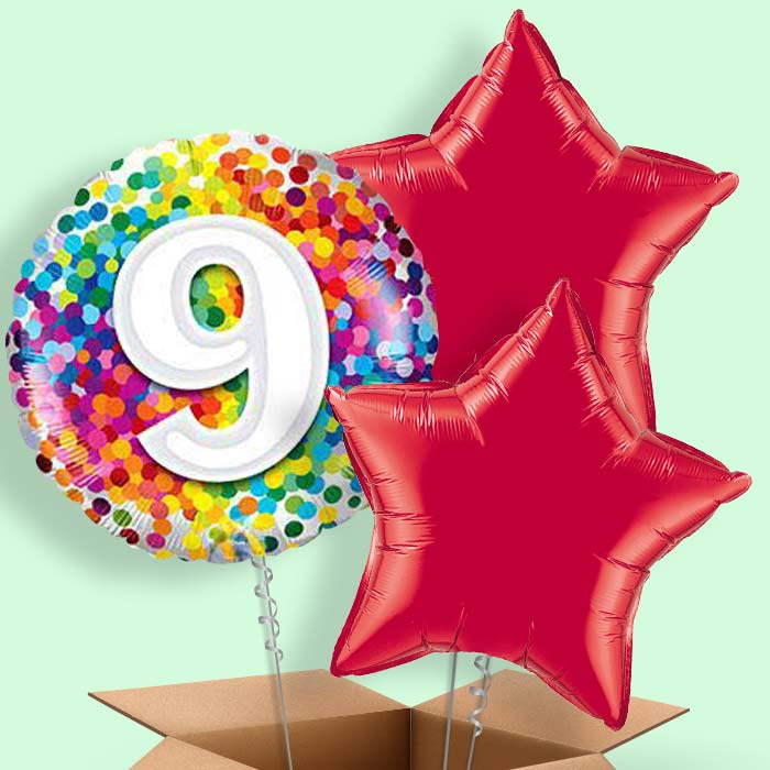 Colourful 9th Birthday Balloons in a Box - 3 Balloon | Small Indoor Plants