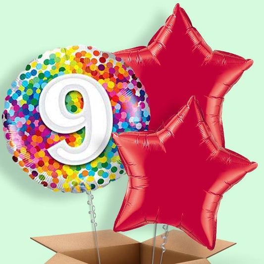 Colourful 9th Birthday Balloons in a Box - 3 Balloon | Small Indoor Plants