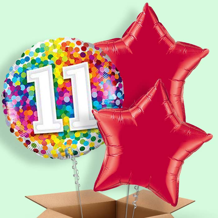 11th Birthday Balloons in a Box - Colourful - 3 Balloon | Small Indoor Plants