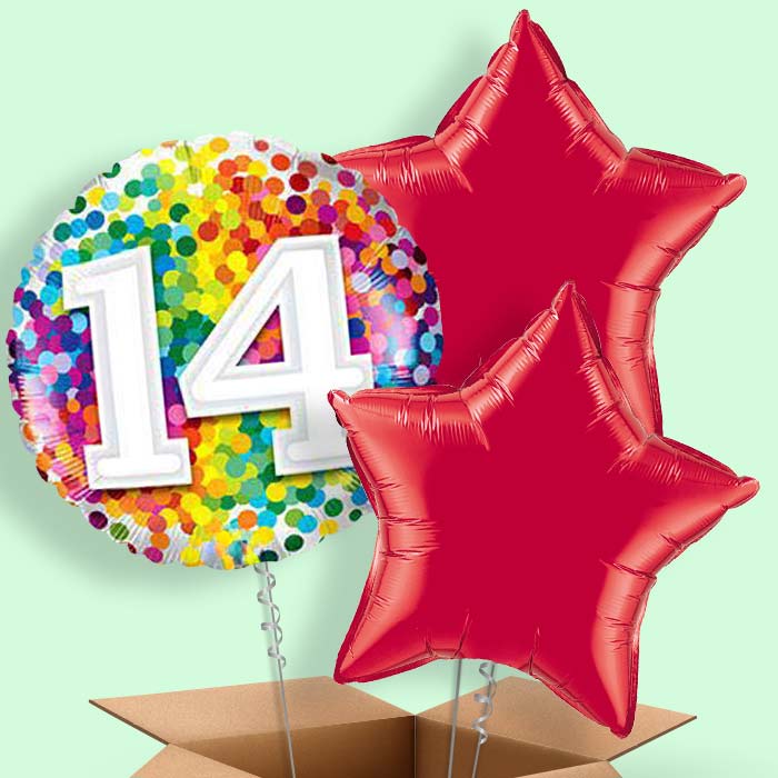 14th Birthday Balloons in a Box - Rainbow Dots - 3 Balloon | Small Indoor Plants