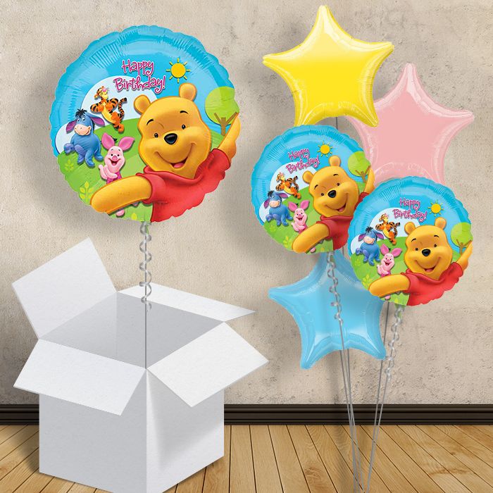 Winnie the Pooh Birthday Balloons in a Box - 1 Balloon | Small Indoor Plants