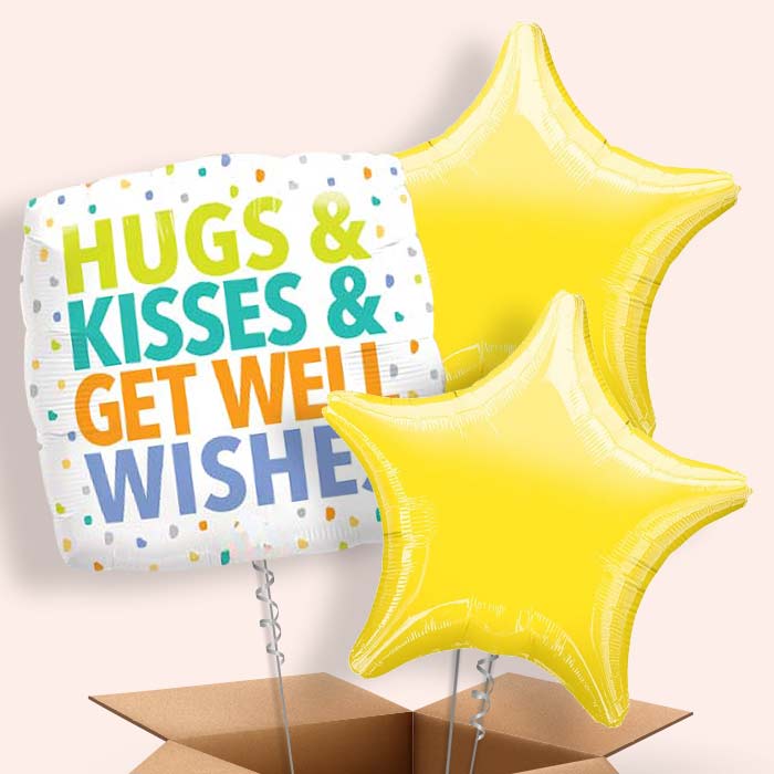 Hug Kisses Get Well Wishes Balloon in a Box - 3 Balloon | Small Indoor Plants