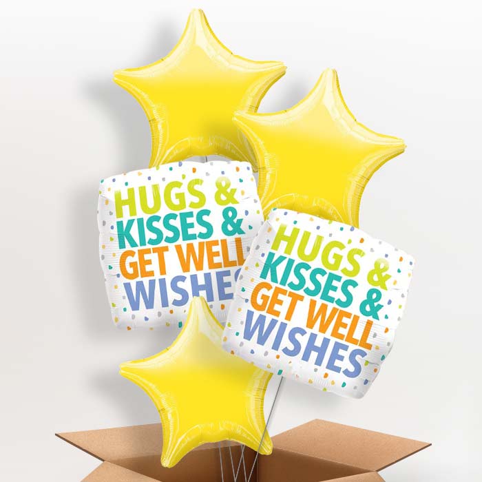 Hug Kisses Get Well Wishes Balloon in a Box - 5 Balloon | Small Indoor Plants
