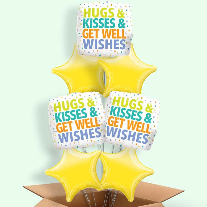 Hug Kisses Get Well Wishes Balloon in a Box - 7 Balloon | Small Indoor Plants