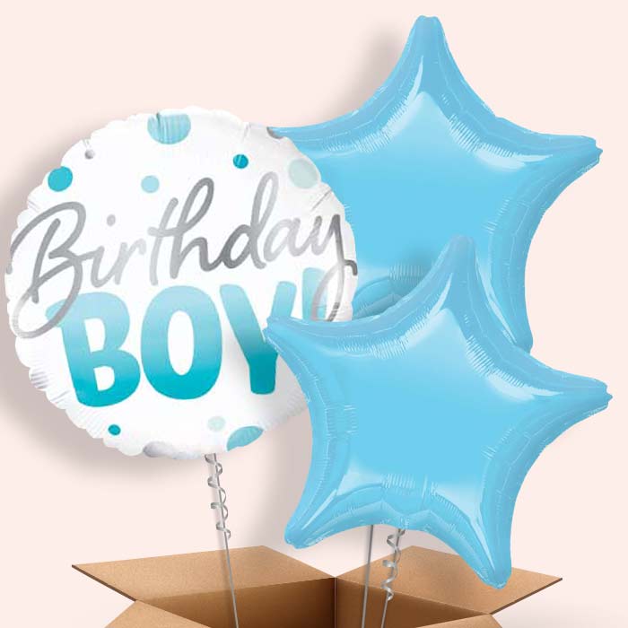 Blue Dot Birthday Boy Balloons in a BoxBoy Balloons in a Box - 3 Balloon | Small Indoor Plants