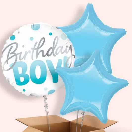 Blue Dot Birthday Boy Balloons in a BoxBoy Balloons in a Box - 3 Balloon | Small Indoor Plants