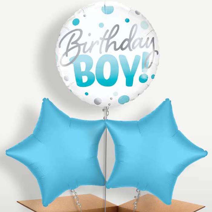 Blue Dot Birthday Boy Bunch of Balloons inflated with Helium | Small Indoor Plants