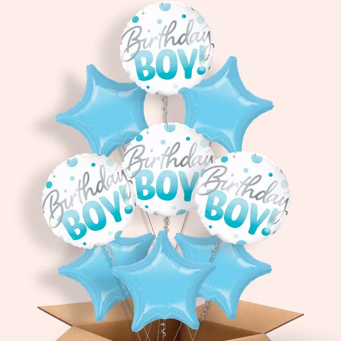 Blue Dot Birthday Boy Balloons in a BoxBoy Balloons in a Box - 9 Balloon | Small Indoor Plants