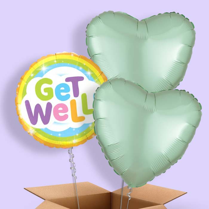 Get Well Soon Rainbow Balloon in a Box - 3 Balloon | Small Indoor Plants
