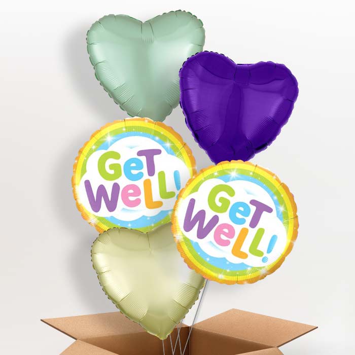 Get Well Soon Rainbow Balloon in a Box - 5 Balloon | Small Indoor Plants