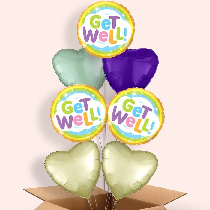 Get Well Soon Rainbow Balloon in a Box - 7 Balloon | Small Indoor Plants