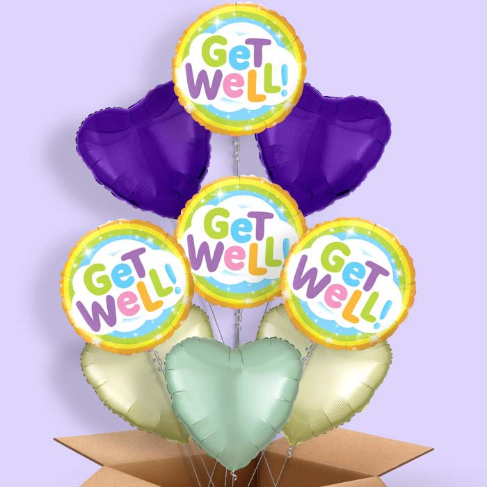 Get Well Soon Rainbow Balloon in a Box - 9 Balloon | Small Indoor Plants