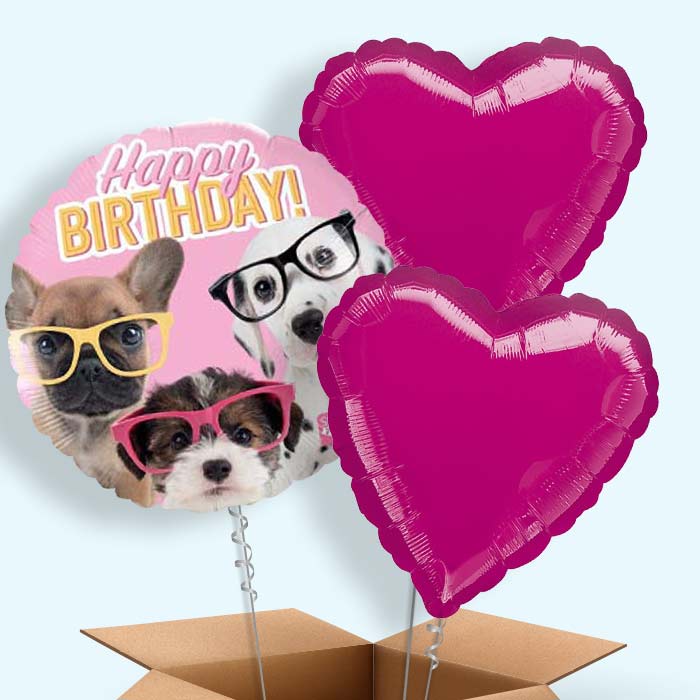 Puppy Balloons in a Box - Happy Birthday - 3 Balloon | Small Indoor Plants