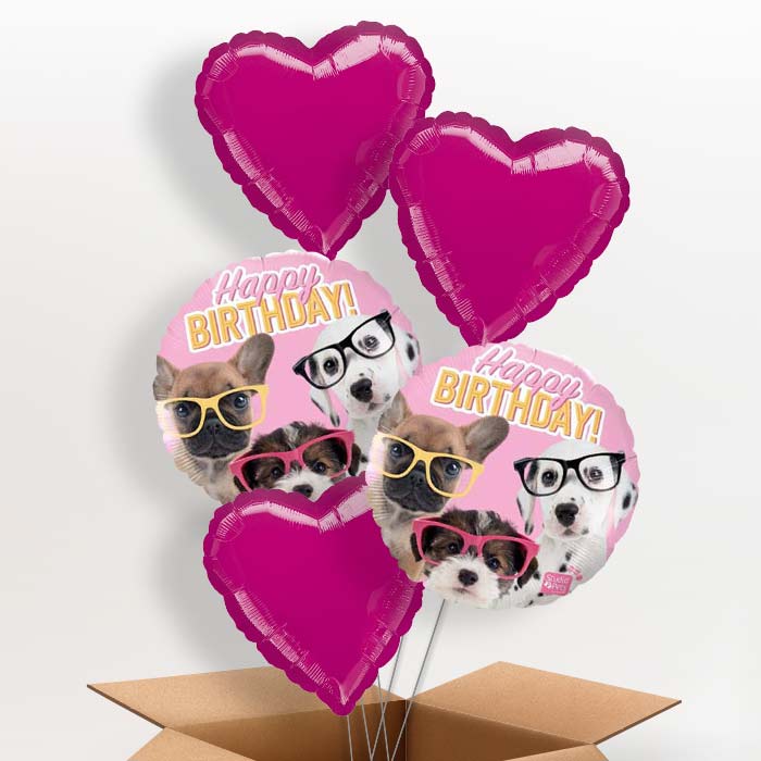 Puppy Balloons in a Box - Happy Birthday - 5 Balloon | Small Indoor Plants