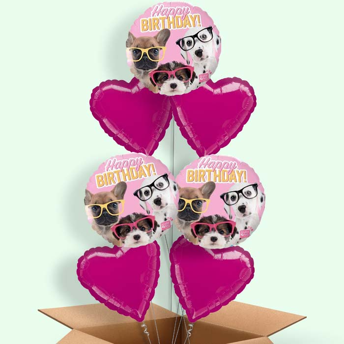 Puppy Balloons in a Box - Happy Birthday - 7 Balloon | Small Indoor Plants