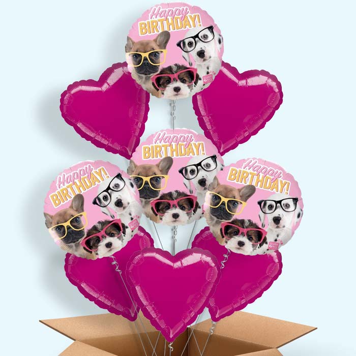 Puppy Balloons in a Box - Happy Birthday - 9 Balloon | Small Indoor Plants