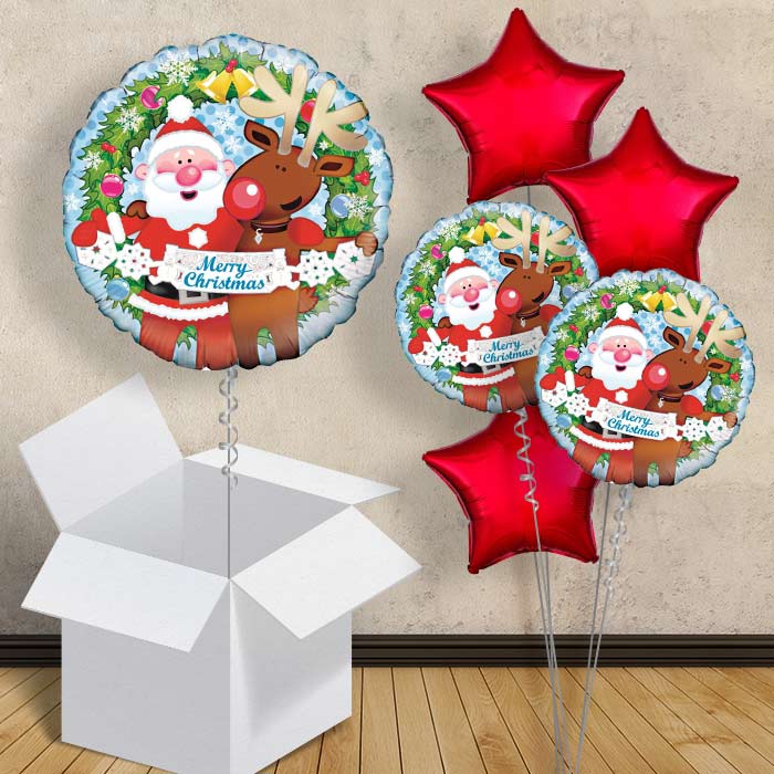 Father Christmas & Reindeer Balloon in a Box - 1 Balloon | Small Indoor Plants