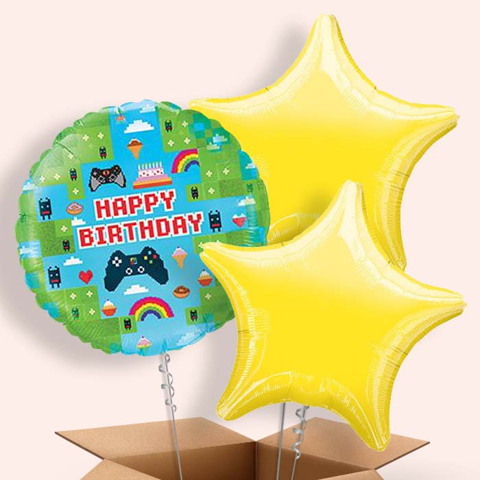 Gaming Birthday Balloons in a Box - Game Blox - 3 Balloon | Small Indoor Plants