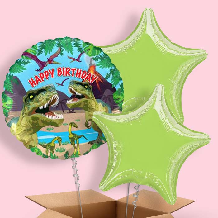 Birthday Dinosaur Balloons in a Box - 3 Balloon | Small Indoor Plants